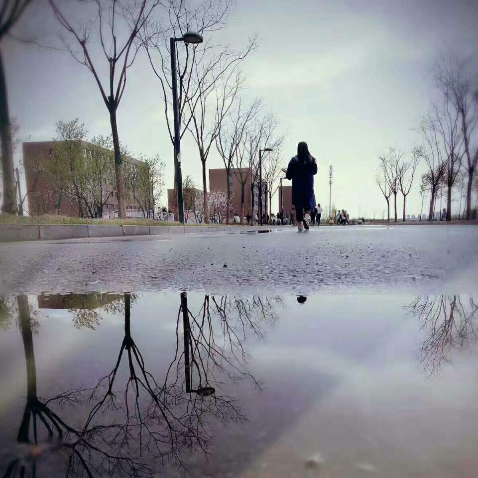 雨过天晴二十四,官碧民反皆起义是什么生肖,警惕虚假宣传落实,深度解答解释落实